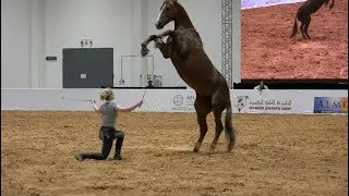 Praise Your Horses