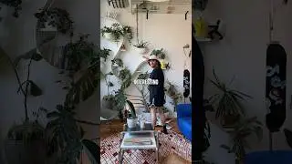 I Found my Dream Loft Apartment!! 
