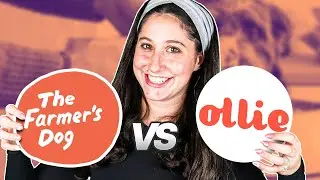 The Farmer's Dog vs. Ollie: Which Dog Food Service Is Best?