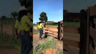Pasando óleo na porteira