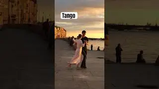 4 июля 2024 г.