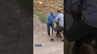 Cesar Millan’s Most Intense Dog fights! 