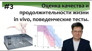 Оценка качества и продолжительности жизни лабораторных животных. Поведение. Тесты. Лабиринты.