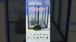 Aquarium Tutorial | The Sims 4 