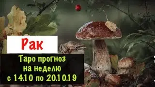 Cancer _ Horoscope from October 14 to October 20, 2019 _ Weekly Tarot Forecast