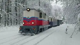 15 декабря 2023 г.
