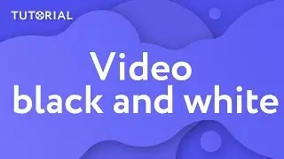 How to make a video black and white (Movavi Video Editor 15)