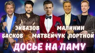 Досье на Ламу. Матвейчук, Эйвазов, Малинин, Портной или Басков? Шоу Маска на НТВ.