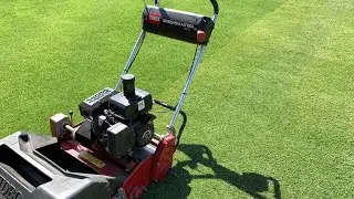 Kick Starting Your Bermuda Lawn//Using RGS & Ammonium Sulfate//The More Aggressive Approach
