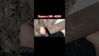 MD 4030 Могёт #латунь #metaldetecting #медь #мд4030 #металл #платы #топ