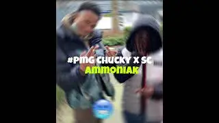 Chucky x SC