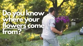 Bring Local Flowers Back to the United States | Flower Movement