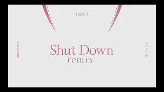 shut down remix (Coachella 2023) @BLACKPINK #blackpink