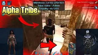 Taking Revenge on the Alpha tribe | Making progress| Solo on Official | Eps 2