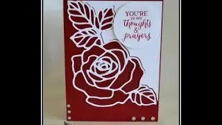 Rose Garden
