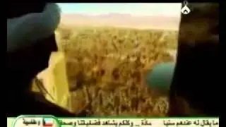 А что сделали шииты  ради Ислама,если только не предательство