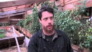 Земля, земля, земля!! Джастас Уолкер веселый молочник