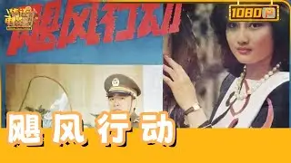 《飓风行动》/ Tornado Run 神秘晶体引爆血色追缉：刑警罗浩血战跨国走私集团，少年喋血护国宝！【华语电影资料馆】