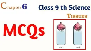 MCQ Tissue Class 9 th Science Chapter 6 Mcq