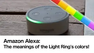 #Alexa