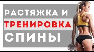 Тренировка спины. Почему лучше не делать растяжку до тренировки и между подходами?