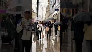 London beauty and the rain 🌧️