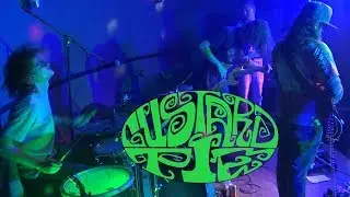 Live Music - Custard Pie - Where You Been