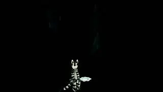 Кот Котофеевич 1982 ТО Экран