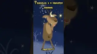 Талант он и в самолёте талант.