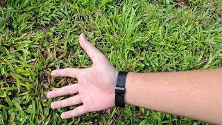 I actually touch grass for real?!?!
