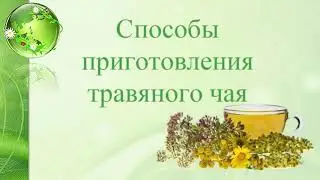 Фитотерапия