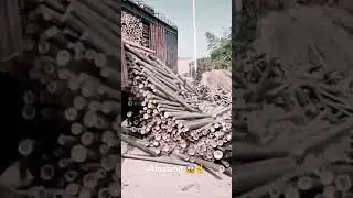 Amazing unloading bamboo