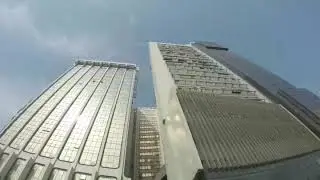 Marina Lagos From an Ant's Perspective