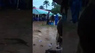 Unubi oke muoo