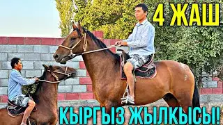 ЗОР КЫРГЫЗ ЖЫЛКЫСЫ ЧЫКТЫ 🤯 #байтв