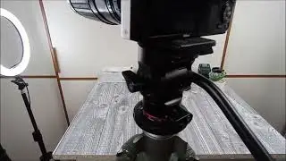 NEEWER Treppiede Testa Fluida Pan Tilt Head, Mini testa buon movimento morbido e fluido
