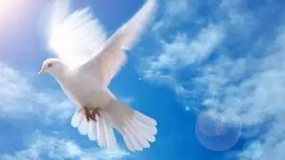 ПРАВЕДЫ Душа