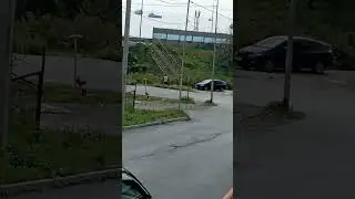 Ким Чен Ына ждут во Владивостоке