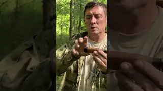 Модель Хант