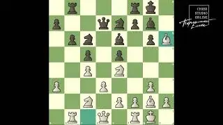 Вырезки из курс по тактике - раздел 