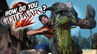 How Do We Play This Game? | Serious Guild Wars 2 Questions