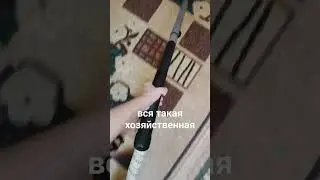 я сегодня вся такая хозяйственная 