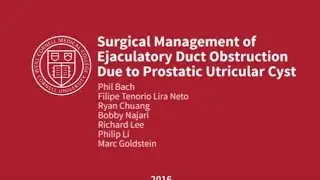 Surgical Management of Ejaculatory Duct Obstruction due to Prostatic Utricular Cyst ( 2016)