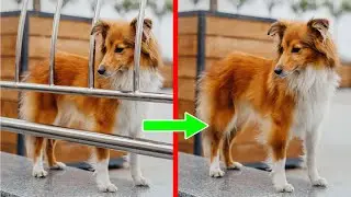 How to use Photoshop AI To Remove Anything! (AMAZING)