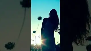 🌱🌄🪈🤍 flute 