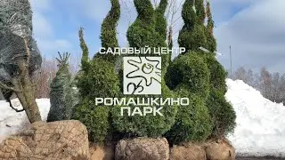 Новая поставка: Европа 2024