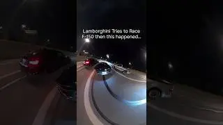 Lamborghini Tries To Race Ford F-150 & Gets BULLIED! 