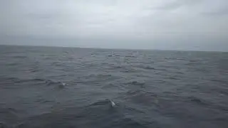 По штормящему Онежскому озеру-морю