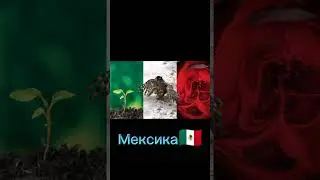 Реалистичные флаги стран 