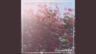 Hawaiian Island Breezes